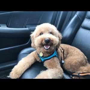 Meet your Posher, Heather